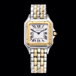 Panthere Medium Ladies W2PN0007 27mm GF YG & SS White Dial Swiss Ronda Quartz